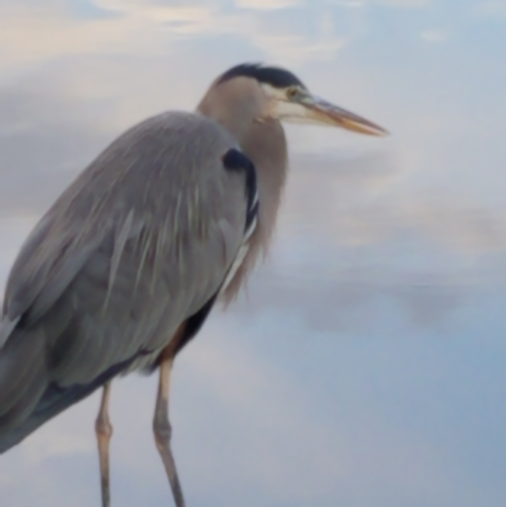 Kasper, Joneswear suits